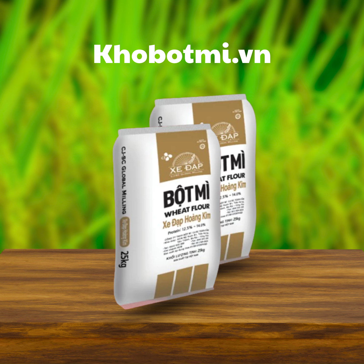 Bột mì xe đạp hoàng kim Bột mì xe đạp hoàng kim kho bột mì