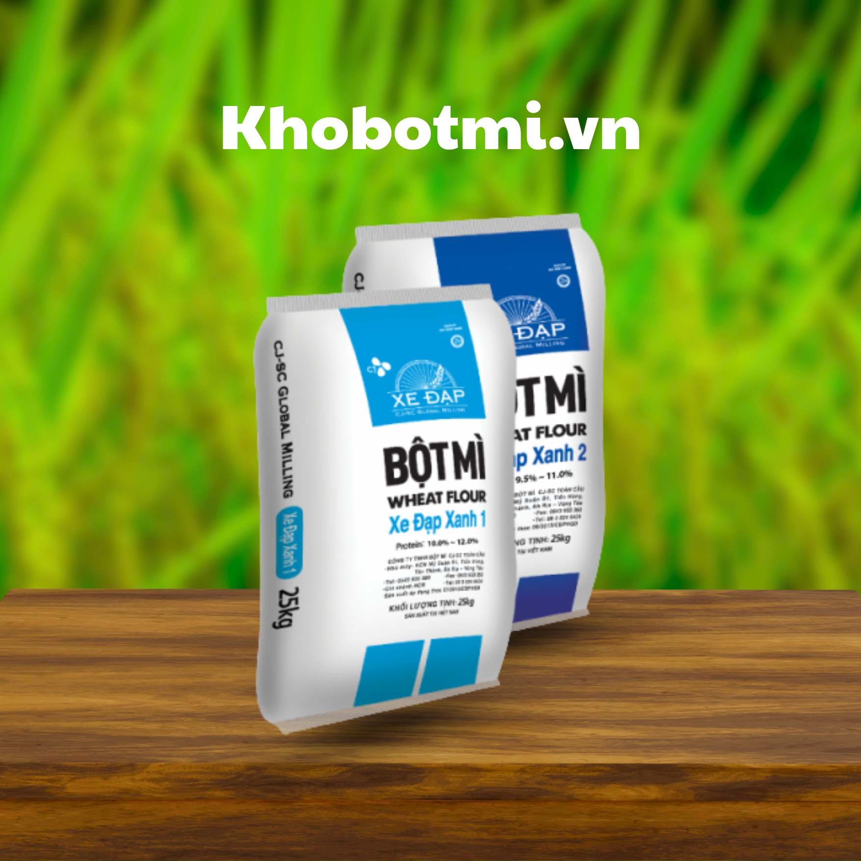 Bôtj các loại (2) Bột mì xe đạp xanh 25kg kho bột mì